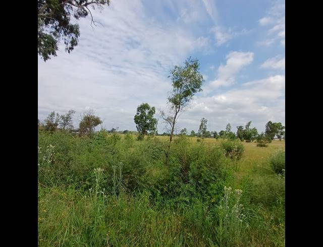 87,023M² VACANT LAND FOR SALE IN OPHIR AH